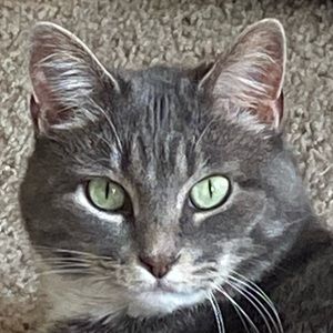 Meet your Posher, Leah